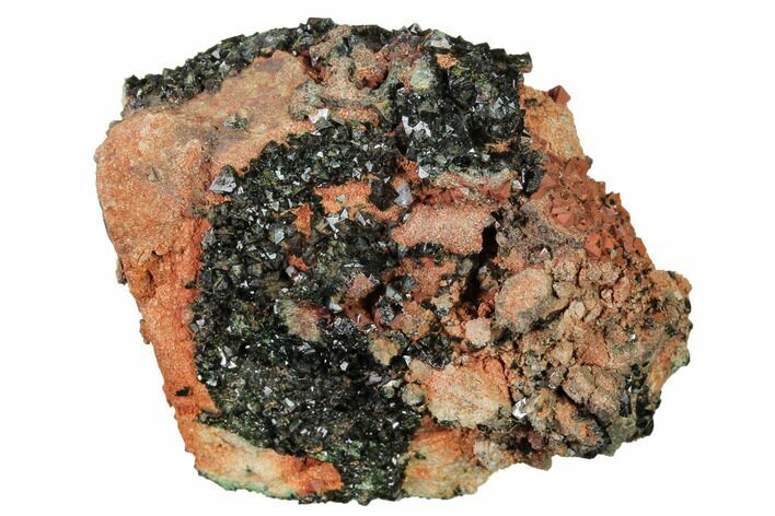 Deep-Green Libethenite Crystal Cluster #169821